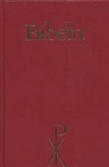 Bibel 2000, storstil, en produkt från Nya Musik som utvecklar och engagerar människor i alla åldrar.