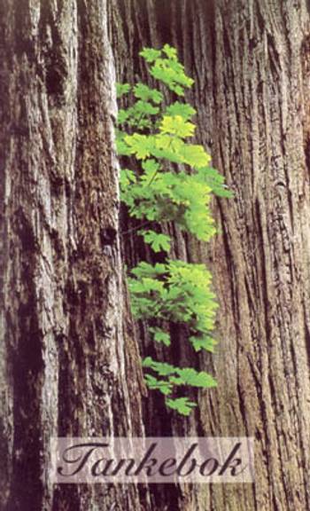 Tankebok, en produkt från Nya Musik som utvecklar och engagerar människor i alla åldrar.