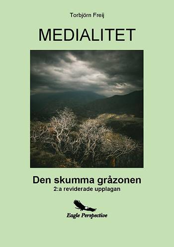 Medialitet: Den Skumma Gråzonen, en produkt från Nya Musik som utvecklar och engagerar människor i alla åldrar.