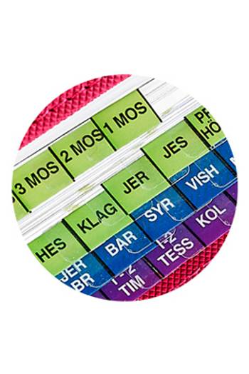 Bibelregister - GT, NT, Apokryferna, grön - blå - violett, en produkt från Nya Musik som utvecklar och engagerar människor i alla åldrar.