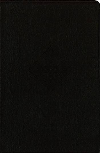 Bibeln på tigrinja, en produkt från Nya Musik som utvecklar och engagerar människor i alla åldrar.