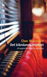 Det bländande mörkret : Att upptäcka den stora glädjen, en produkt från Nya Musik som utvecklar och engagerar människor i alla åldrar.