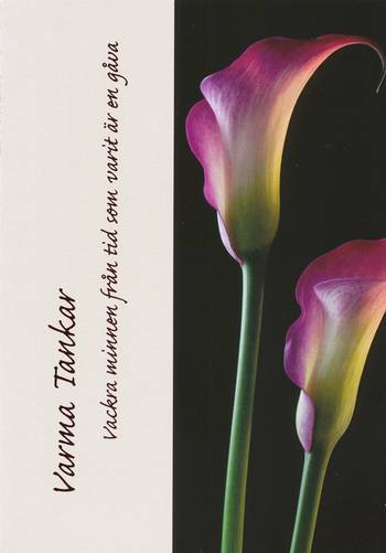 Kort - Varma Tankar - Vackra minnen från tid - Dubbelt, en produkt från Nya Musik som utvecklar och engagerar människor i alla åldrar.