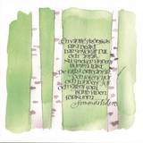 Kort - En vänlig grönskas rika dräkt - Dubbelt, en produkt från Nya Musik som utvecklar och engagerar människor i alla åldrar.