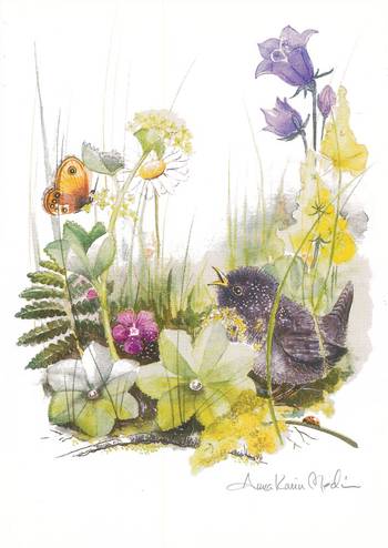 Kort - Utan text - Fågelunge - Anna Karin Medin, en produkt från Nya Musik som utvecklar och engagerar människor i alla åldrar.