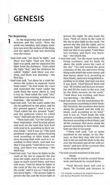 NIV Thinline Bible - Gråsvart, en produkt från Nya Musik som utvecklar och engagerar människor i alla åldrar.