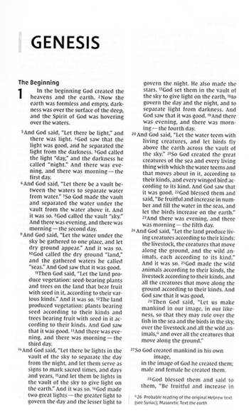 NIV Thinline Bible - Brun, en produkt från Nya Musik som utvecklar och engagerar människor i alla åldrar.