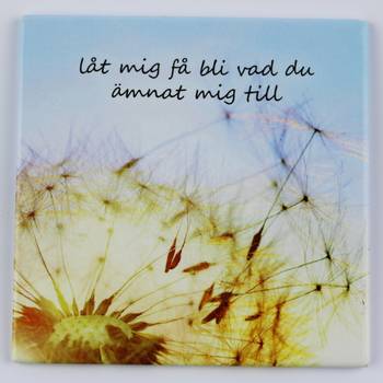 Magnet - Text: Låt mig bli vad du ämnat mig till, en produkt från Nya Musik som utvecklar och engagerar människor i alla åldrar.