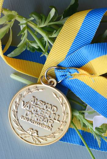 Medalj - Älskad, värdefull, dyrbar. Och allmänt bra!, en produkt från Nya Musik som utvecklar och engagerar människor i alla åldrar.