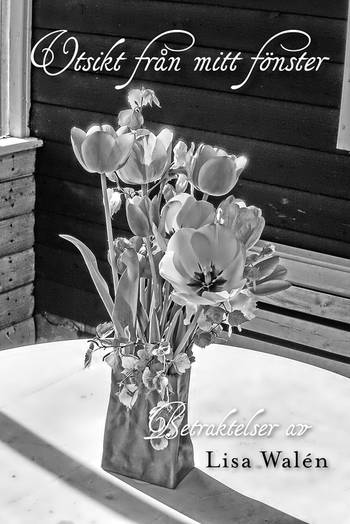 Utsikt från mitt fönster, en produkt från Nya Musik som utvecklar och engagerar människor i alla åldrar.