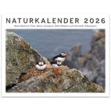 Naturkalender 2026 - Reine Jonsson, en produkt från Nya Musik som utvecklar och engagerar människor i alla åldrar.