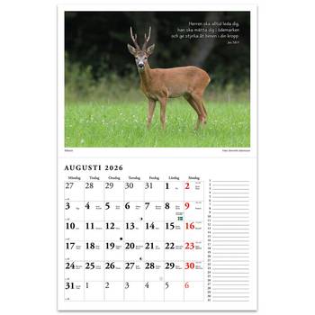 Naturkalender 2026 - Reine Jonsson, en produkt från Nya Musik som utvecklar och engagerar människor i alla åldrar.