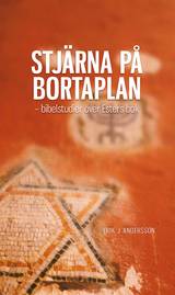 Stjärna på bortaplan, en produkt från Nya Musik som utvecklar och engagerar människor i alla åldrar.