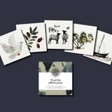 Hälsningskort 10-pack Till jordens yttersta gräns, en produkt från Nya Musik som utvecklar och engagerar människor i alla åldrar.