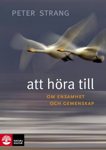 Att höra till : om ensamhet och gemenskap, en produkt från Nya Musik som utvecklar och engagerar människor i alla åldrar.