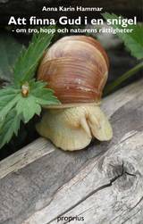 Att finna Gud i en snigel, en produkt från Nya Musik som utvecklar och engagerar människor i alla åldrar.