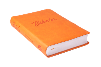 Nya Levande Bibeln : orange, en produkt från Nya Musik som utvecklar och engagerar människor i alla åldrar.