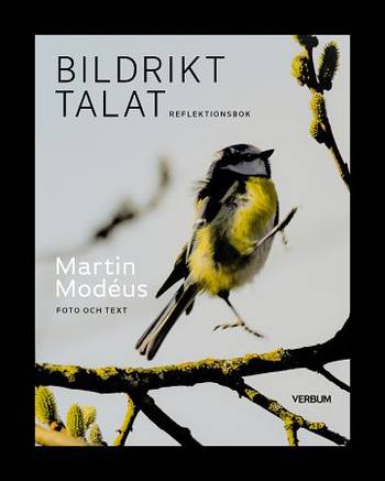 Bildrikt talat, reflektionsbok, en produkt från Nya Musik som utvecklar och engagerar människor i alla åldrar.
