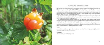 Med stövlarna på jorden och blicken riktad uppåt, en produkt från Nya Musik som utvecklar och engagerar människor i alla åldrar.