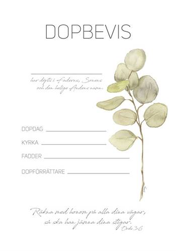 Dopbevis - Eucalyptus - 10-pack, en produkt från Nya Musik som utvecklar och engagerar människor i alla åldrar.