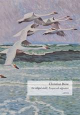 En vidgad värld : Essayer och uppsatser, en produkt från Nya Musik som utvecklar och engagerar människor i alla åldrar.