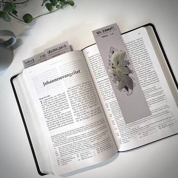 Bibelläsningsset - en inspiration till bibelläsning, en produkt från Nya Musik som utvecklar och engagerar människor i alla åldrar.