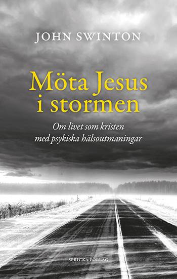 Möta Jesus i stormen: Om livet som kristen med psykiska hälsoutmaningar, en produkt från Nya Musik som utvecklar och engagerar människor i alla åldrar.
