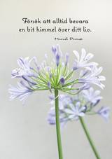 Vykort - Försök att alltid bevara, en produkt från Nya Musik som utvecklar och engagerar människor i alla åldrar.