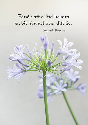 Vykort - Försök att alltid bevara, en produkt från Nya Musik som utvecklar och engagerar människor i alla åldrar.