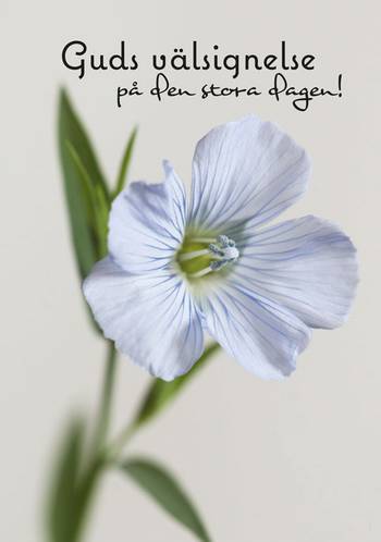 Vykort -Guds välsignelse, en produkt från Nya Musik som utvecklar och engagerar människor i alla åldrar.