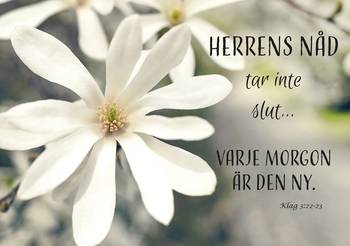 Vykort - Herrens nåd tar inte slut, en produkt från Nya Musik som utvecklar och engagerar människor i alla åldrar.