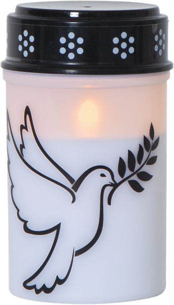 Led Gravljus Duva, en produkt från Nya Musik som utvecklar och engagerar människor i alla åldrar.