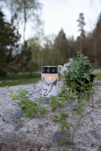 Led Gravljus Duva, en produkt från Nya Musik som utvecklar och engagerar människor i alla åldrar.