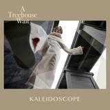 Kaleidoscope - CD, en produkt från Nya Musik som utvecklar och engagerar människor i alla åldrar.