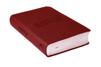 Bibeln för alla - Mörkröd, en produkt från Nya Musik som utvecklar och engagerar människor i alla åldrar.