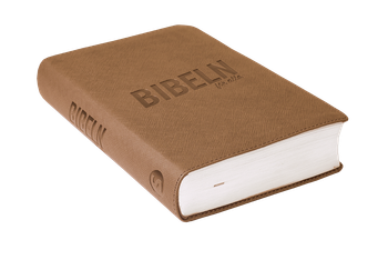 Bibeln för alla - Ljusbrun, en produkt från Nya Musik som utvecklar och engagerar människor i alla åldrar.