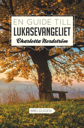 En guide till Lukasevangeliet, en produkt från Nya Musik som utvecklar och engagerar människor i alla åldrar.