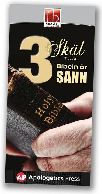 3 Skäl till att Bibeln är sann, en produkt från Nya Musik som utvecklar och engagerar människor i alla åldrar.