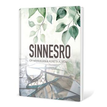 Sinnesro, en produkt från Nya Musik som utvecklar och engagerar människor i alla åldrar.