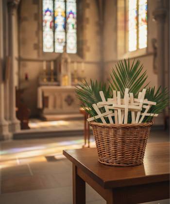 Palmbladskors - 50-pack, en produkt från Nya Musik som utvecklar och engagerar människor i alla åldrar.