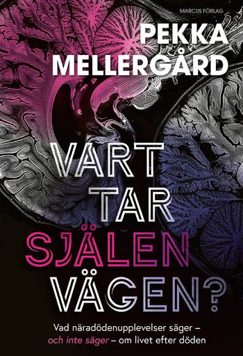 Vart tar själen vägen? : Vad näradödenupplevelser säger – och inte säger – om li, en produkt från Nya Musik som utvecklar och engagerar människor i alla åldrar.