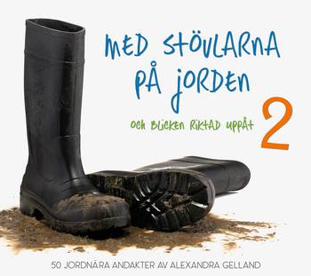Med stövlarna på jorden och blicken riktad uppåt 2, en produkt från Nya Musik som utvecklar och engagerar människor i alla åldrar.
