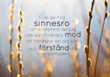 Vykort - Sinnesrobönen, en produkt från Nya Musik som utvecklar och engagerar människor i alla åldrar.