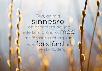 Vykort - Sinnesrobönen, en produkt från Nya Musik som utvecklar och engagerar människor i alla åldrar.