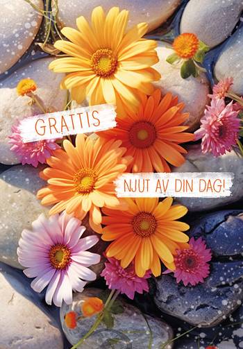 Dubbelt kort - Grattis, en produkt från Nya Musik som utvecklar och engagerar människor i alla åldrar.