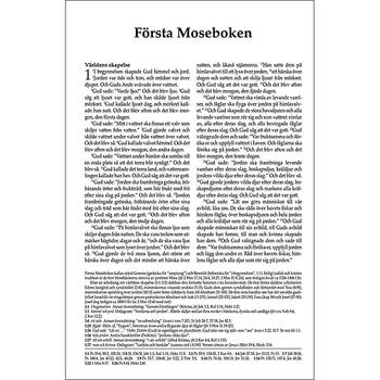 Svenska Folkbibeln 2015 Slimline, brunt cabraskinn, en produkt från Nya Musik som utvecklar och engagerar människor i alla åldrar.