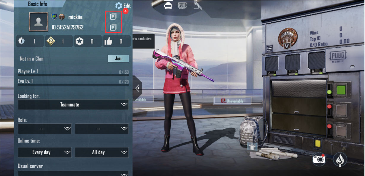 How to find PUBG Mobile Character ID