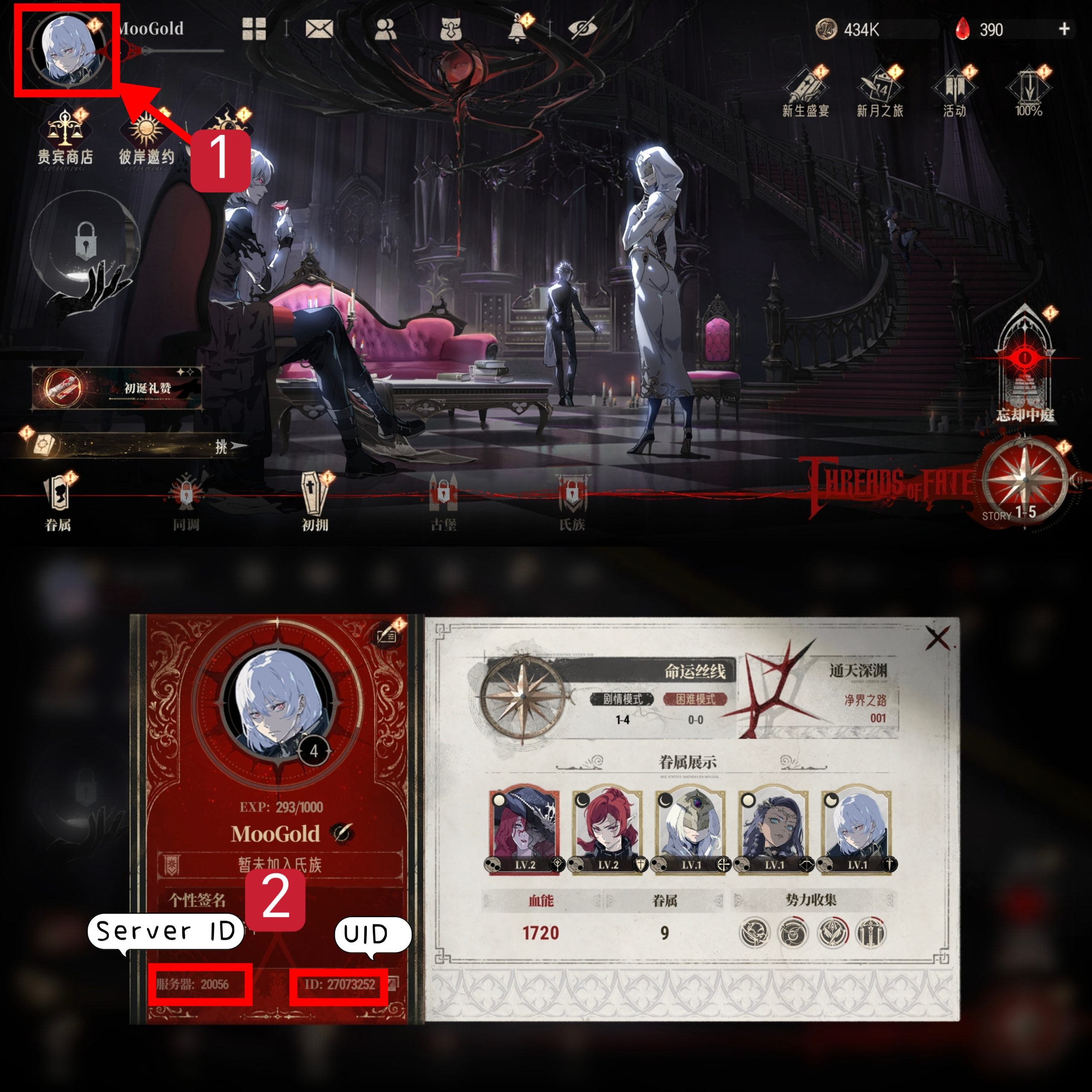 Cara menemukan ID Pengguna dan ID Zona Silver and Blood