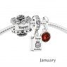 Pandora January Birthday Cake Birthstone Gift Set GS0056