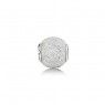 Pandora Essence Wisdom Charm 796016